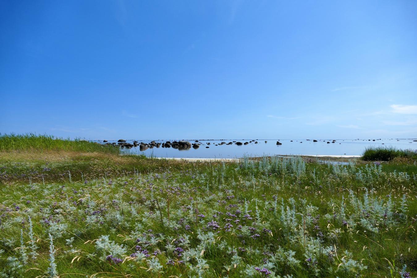 læsø