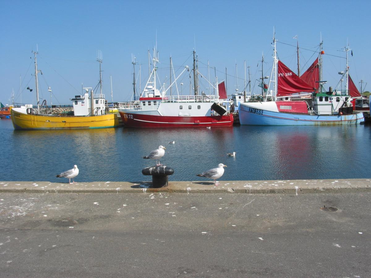 Havnene