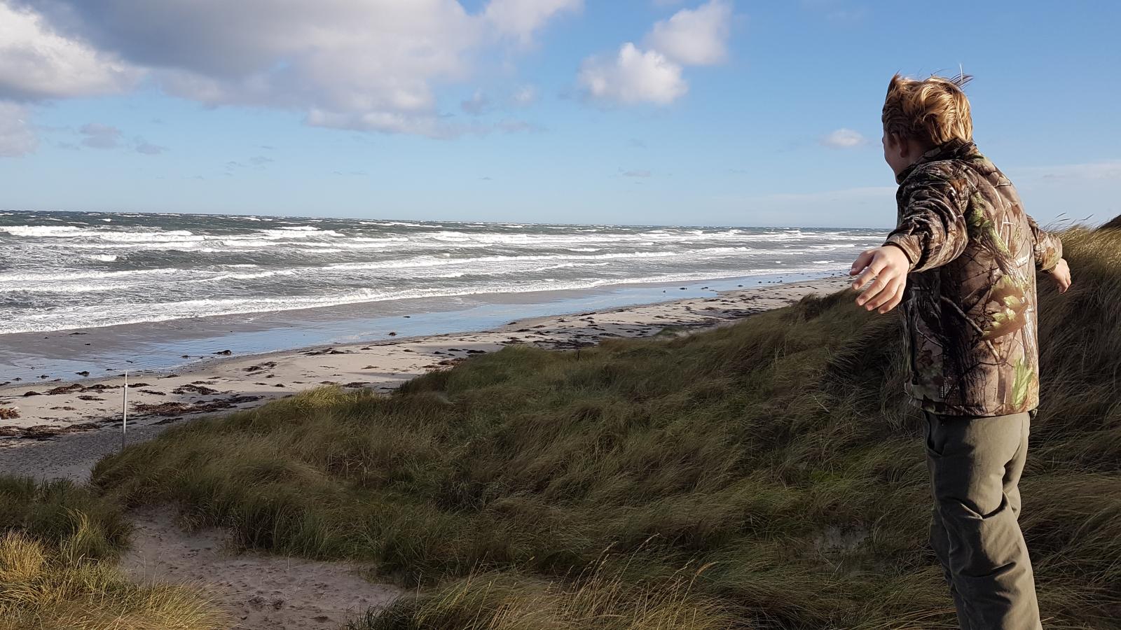 Strand efterår