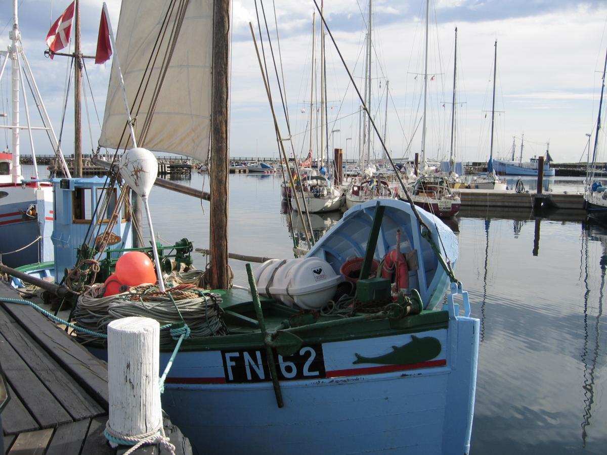 FN 162 Ellen