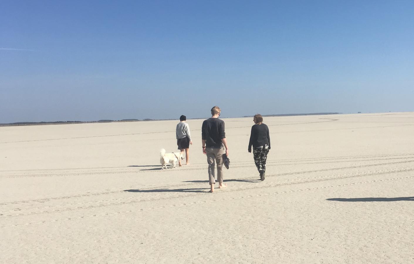 Sandørken