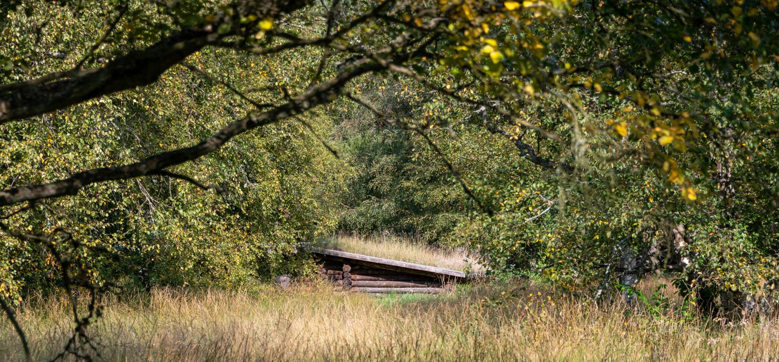 Shelter