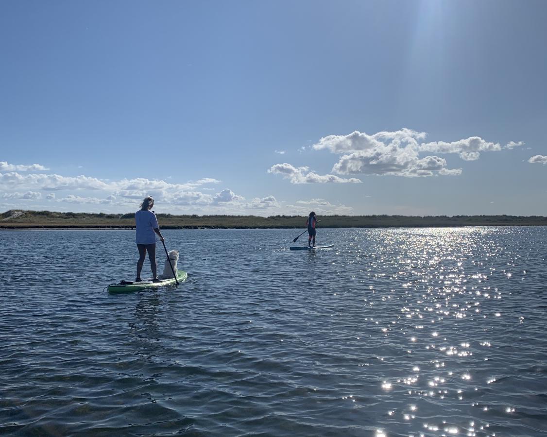 Paddleboard