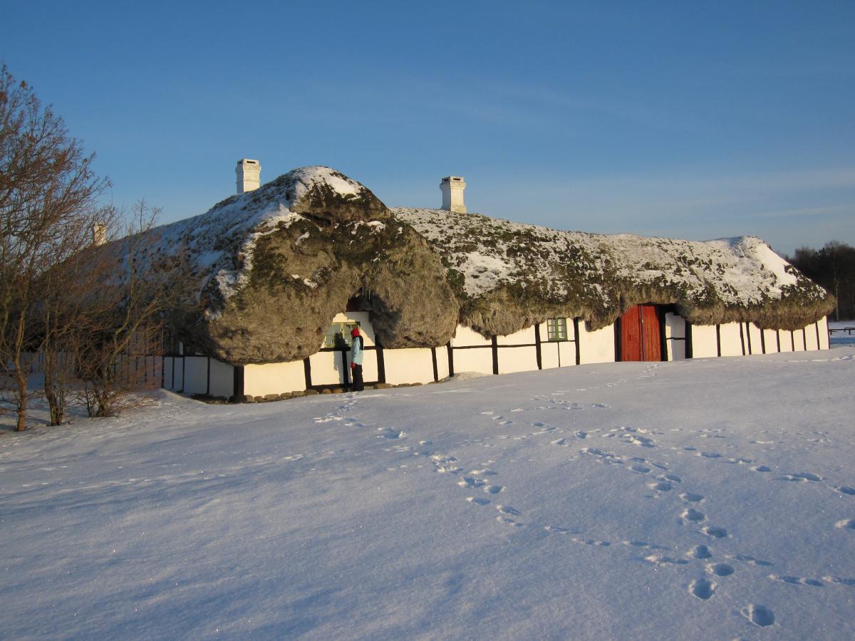 VisitLæsø