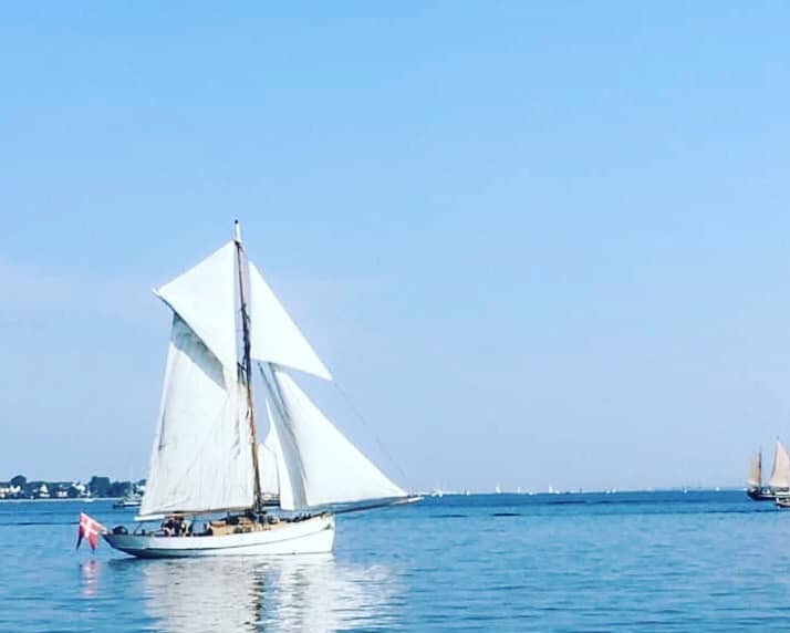 Tre Venner - Dolmer Læsø-kvase.jpg