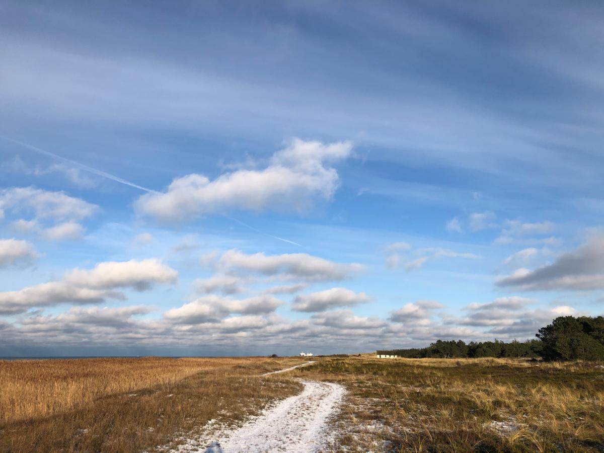 Vandretur Læsø