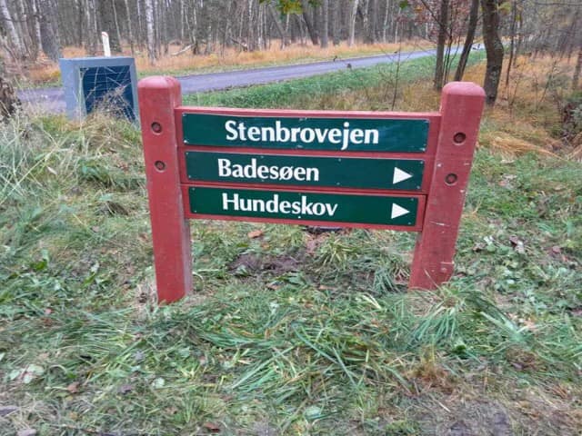 Hundeskov Stenbrovejen Læsø