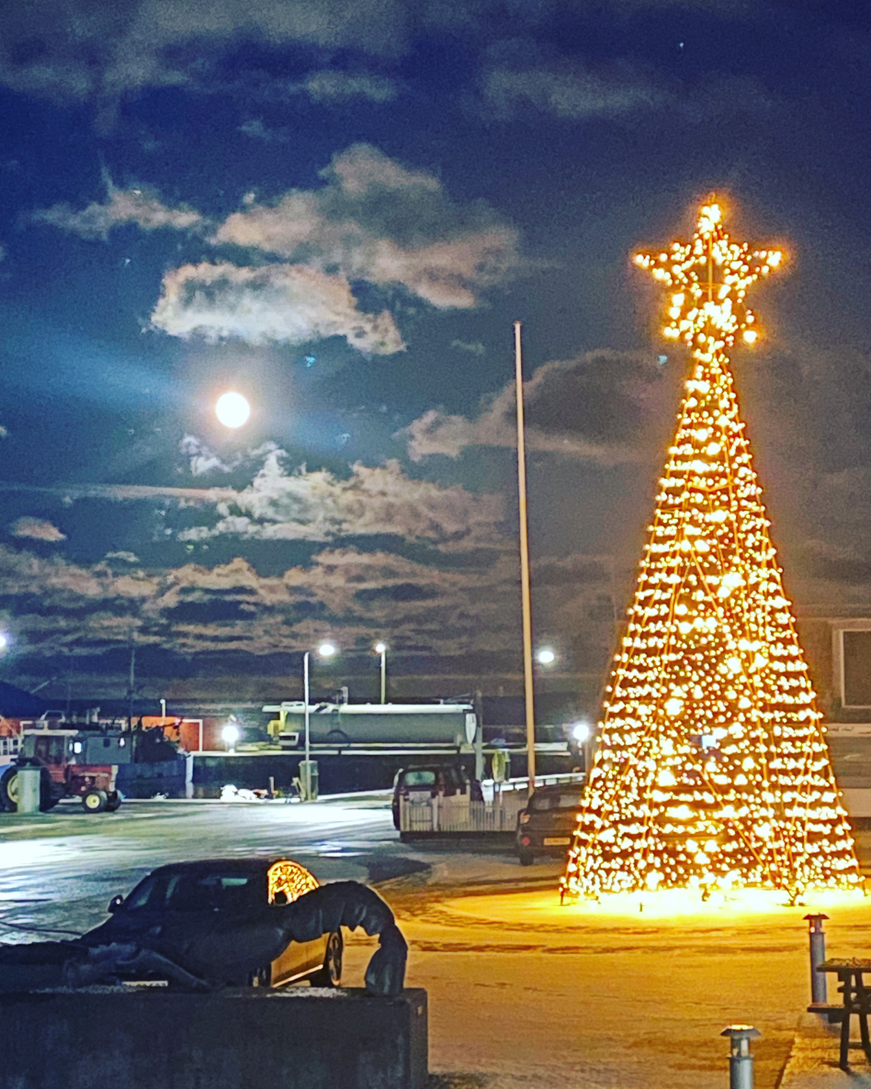 Juletræ i Østerby