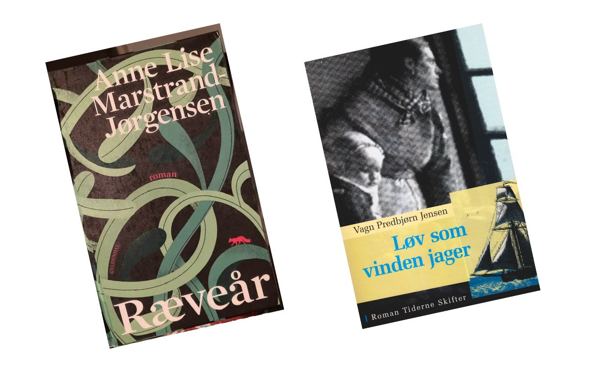 Litteraturcafe bibliotek Læsø