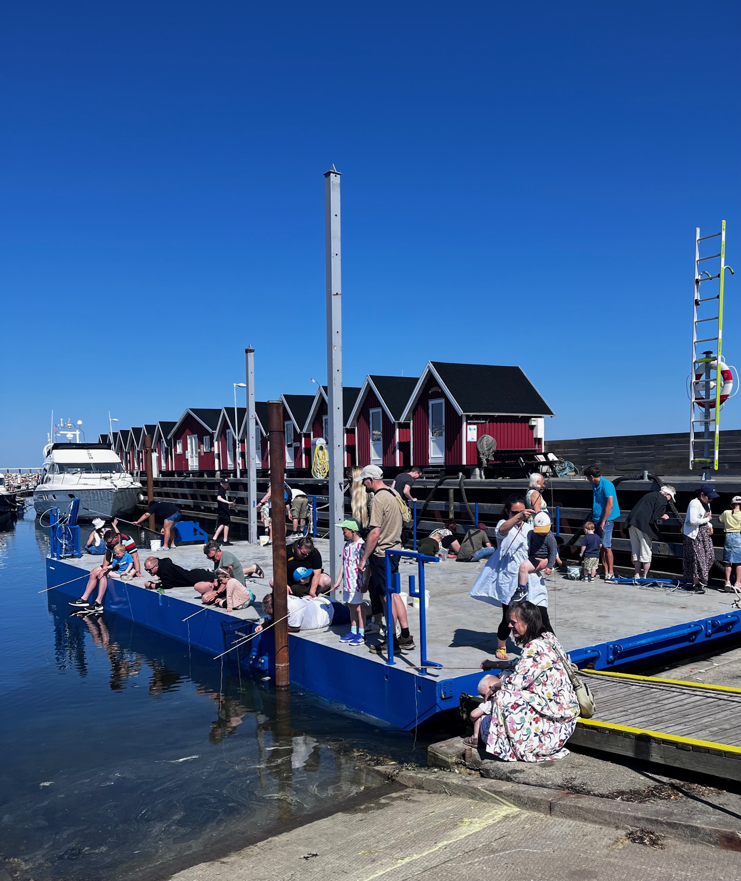 Willkommen auf Læsø | VisitLæsø Urlaub auf Læsø | Erlebnisse | Inselurlaub