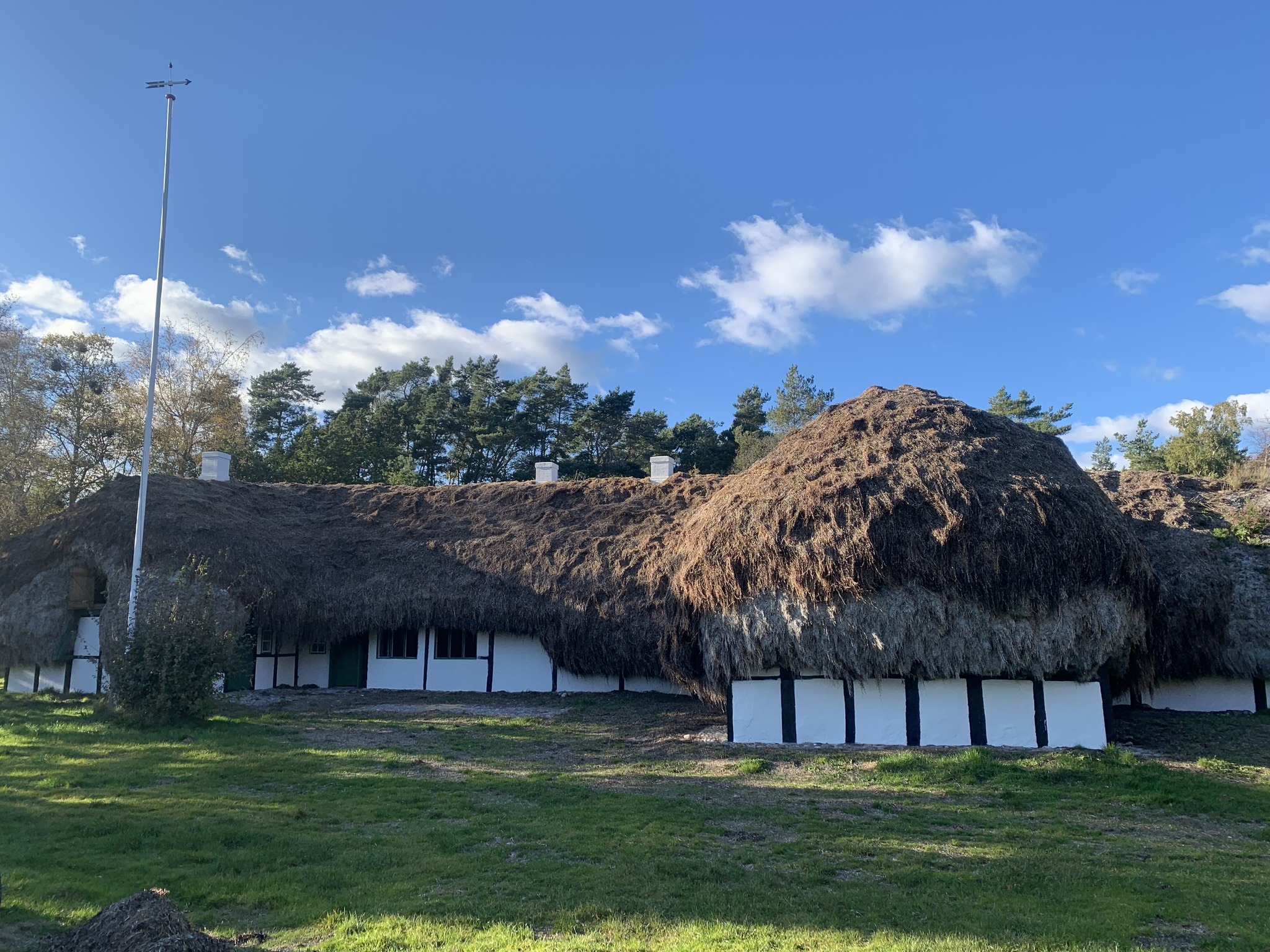 Hedvigs Hus tangtag sommer Læsø