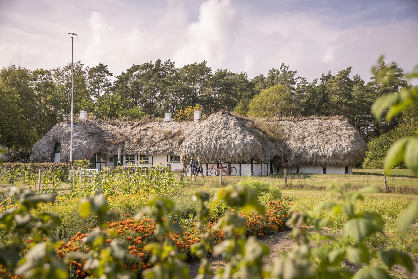 Hedvigs Hus - foto Kjetil Løite