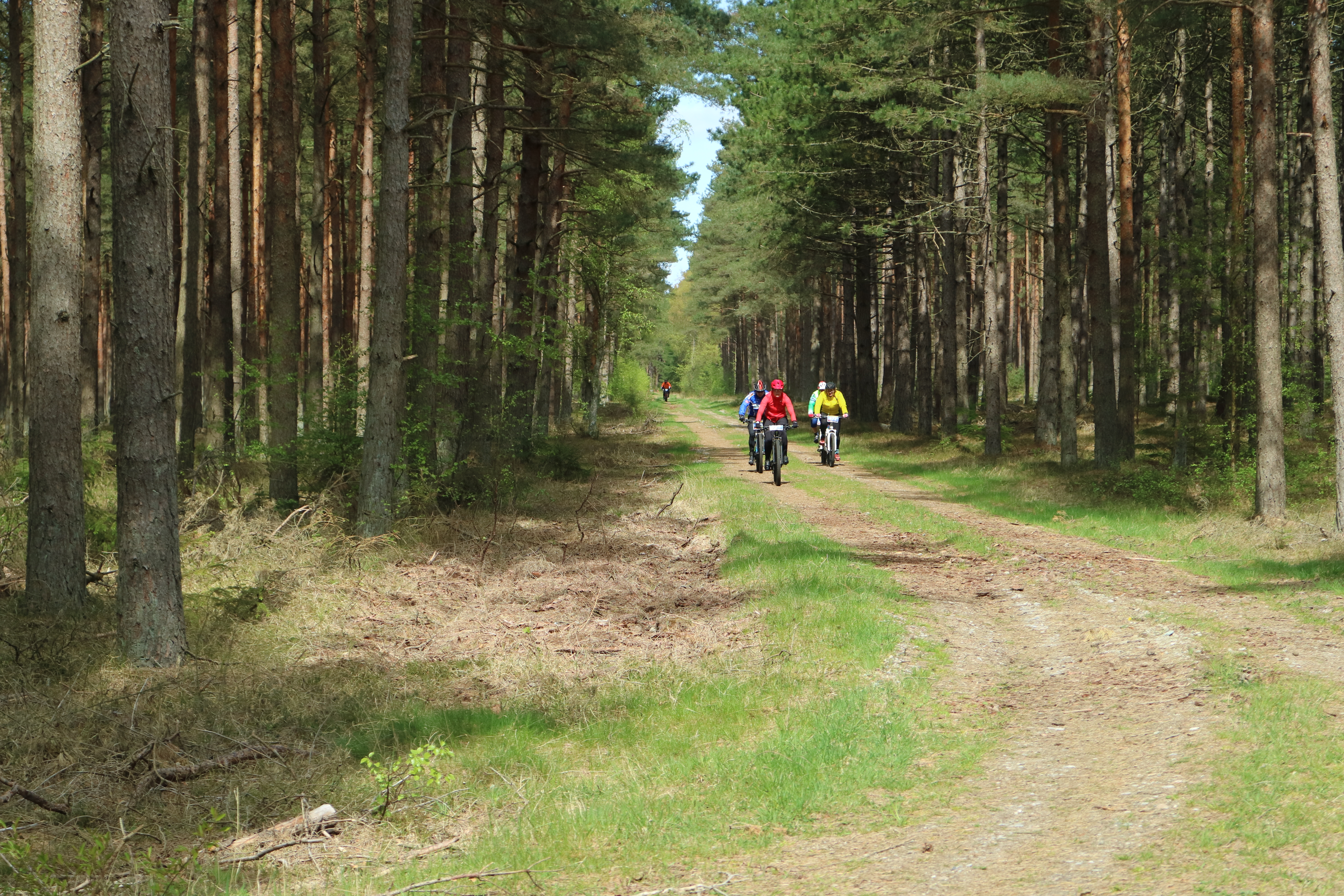 mtb Læsø klitplantage