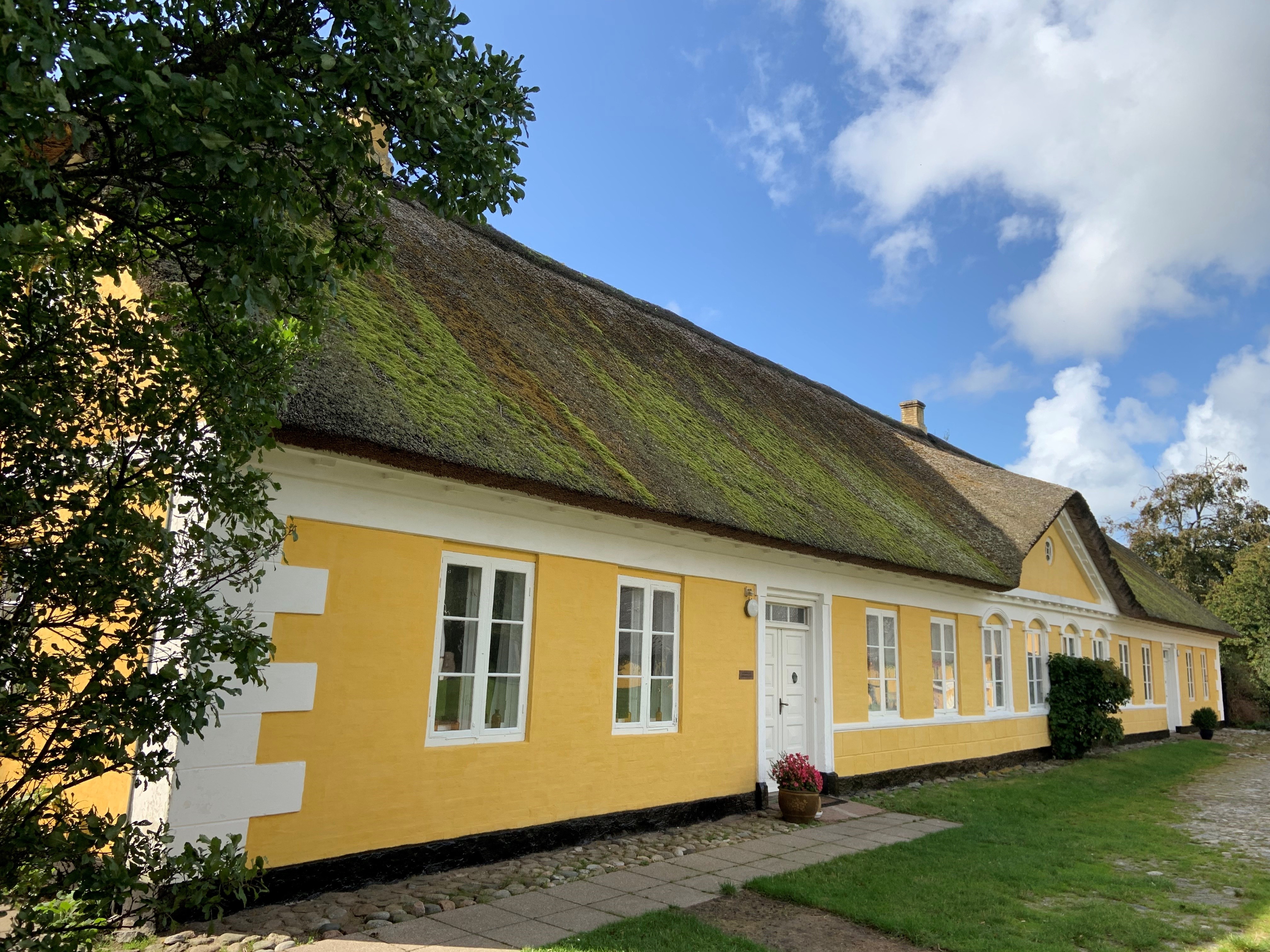 Kirkensgård LIM pileflet Læsø 2026