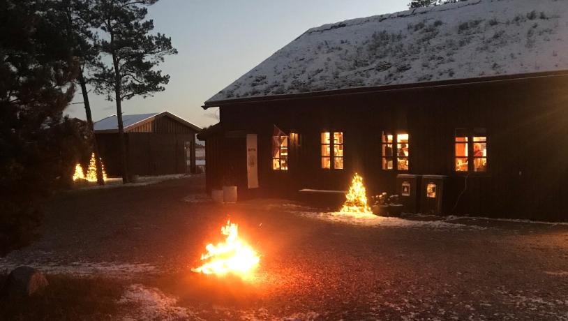 Læsø Salt, LIM, Lys i Mørket 2025