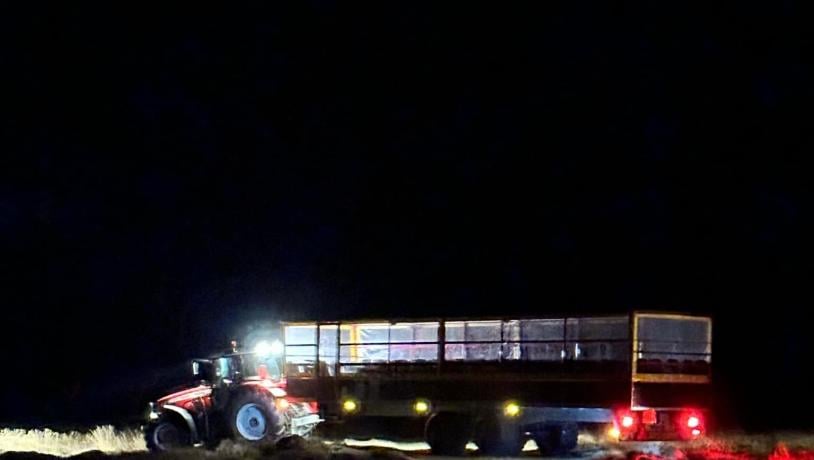 Rønnerbussen Lys i Mørket 2025 - Sonja Linnet Hangaard