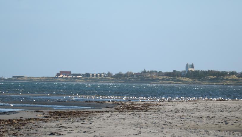 Trailløb Lys i Mørket 2025 2 - Lones powerwalk