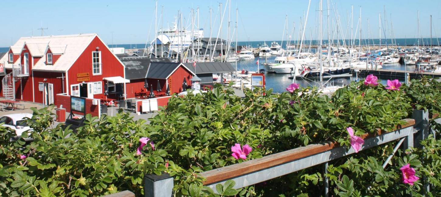 Vesterø Havn m. hyben