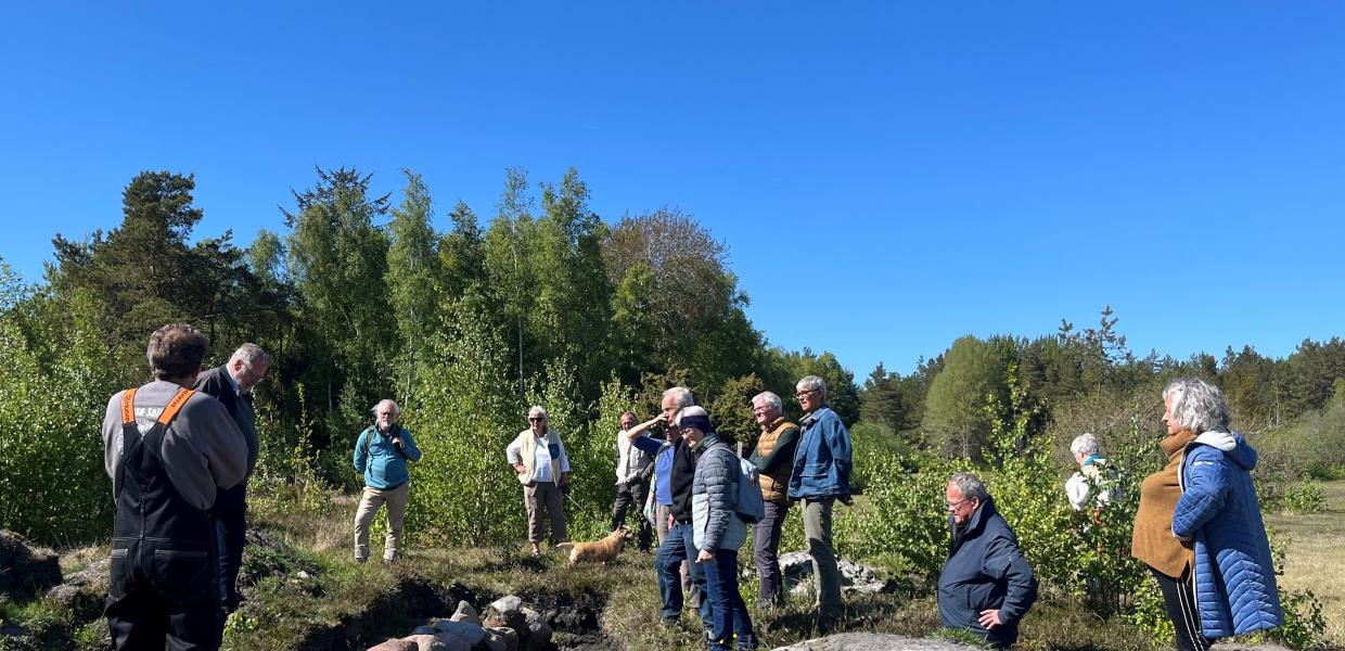 Udgravning saltsydetomt, Jens Morten Hansen 2024