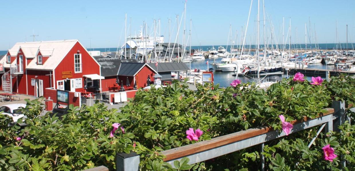 Vesterø Havn m. hyben