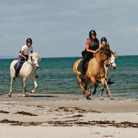 Ridning på stranden