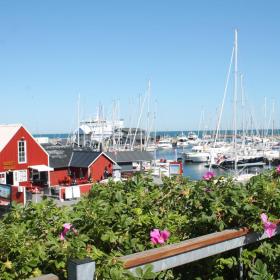 Vesterø Havn m. hyben