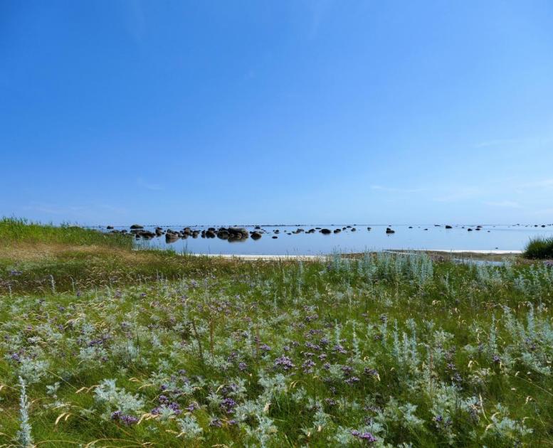 Læsø
