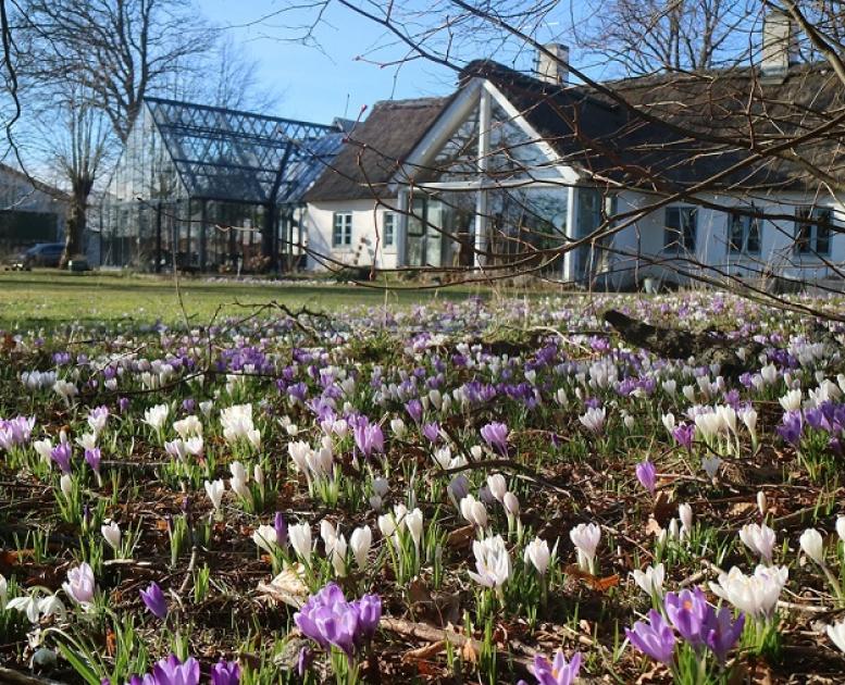 Påsken på Læsø - set fra Østergaard Kultur B&B