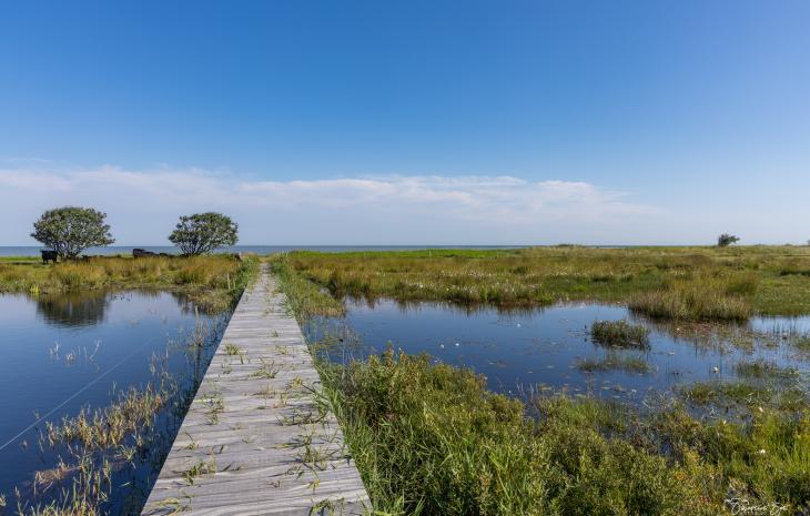 Holtemmen - gangbro foto Objektivt set Fotoblog